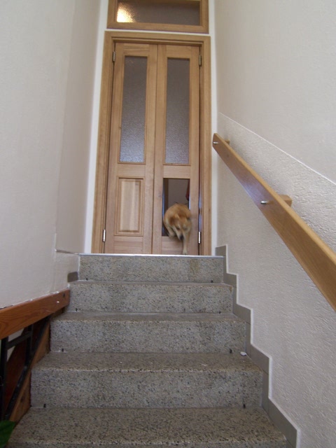 Interiérové dveře dřevěné Interiérové dveře dřevěné